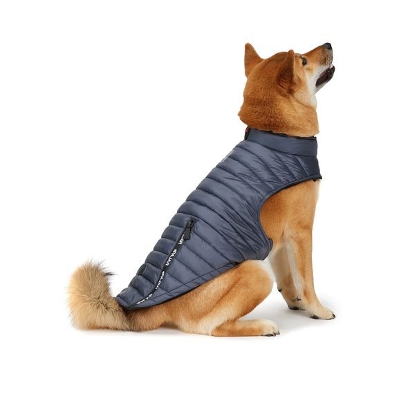 Pajar Pup- SPENCER JACKET FOR DOGS XL graphite color